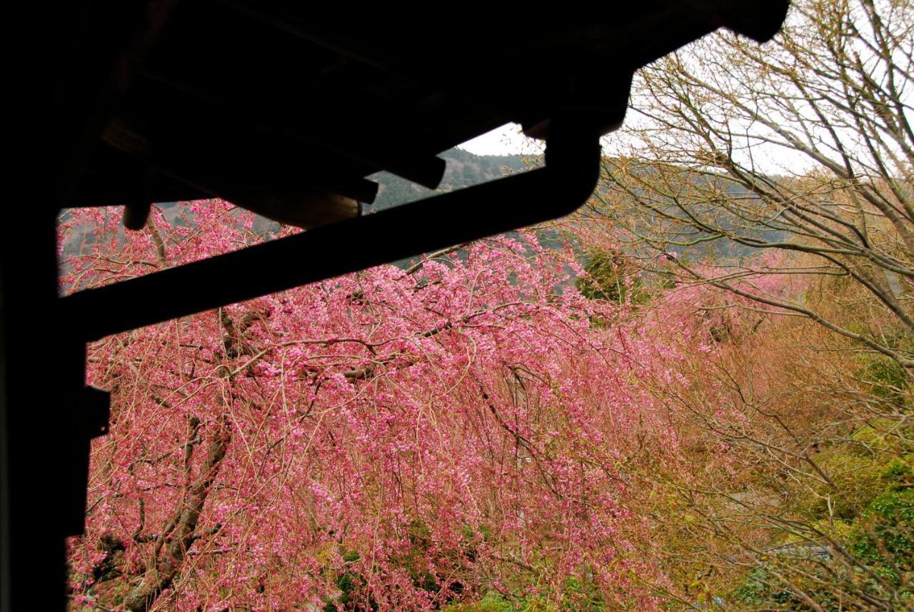 Hakone Kowakien Mikawaya Ryokan Exteriér fotografie